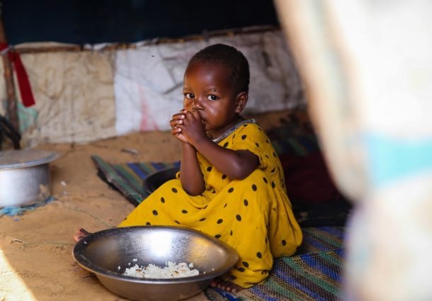 Cucumber seeds and beekeeping kits: the new ways to fight famine